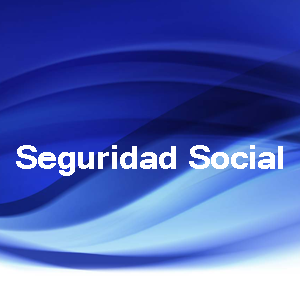 Seguridad Social